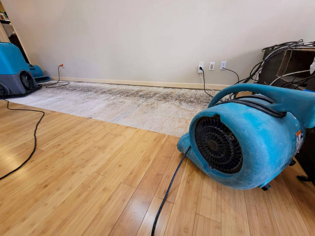Professional Sewage Cleanup technician working in West Sunbury, PA